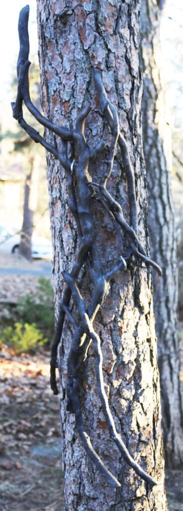 Nature Preserved in Bronze Nature Preserved in Bronze